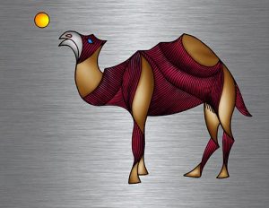 Camel_01