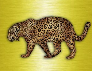 Jaguar_02