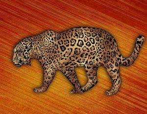 Jaguar_05