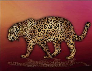 Jaguar_07