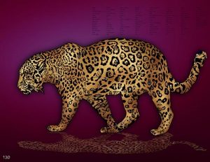 Jaguar_14