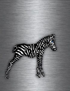 Zebra_01