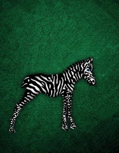 Zebra_18